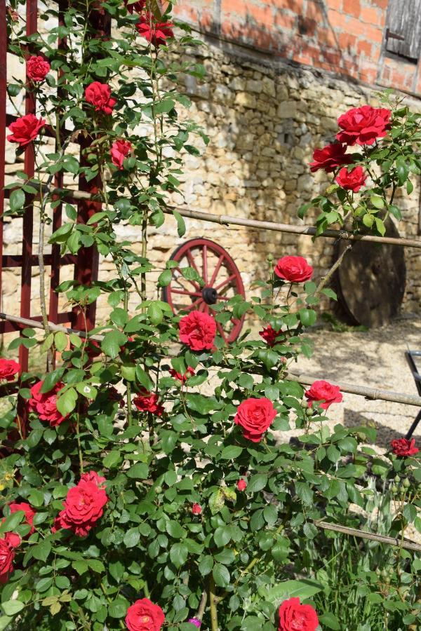 Bed and Breakfast La Chabotine Allas-Les-Mines Екстер'єр фото