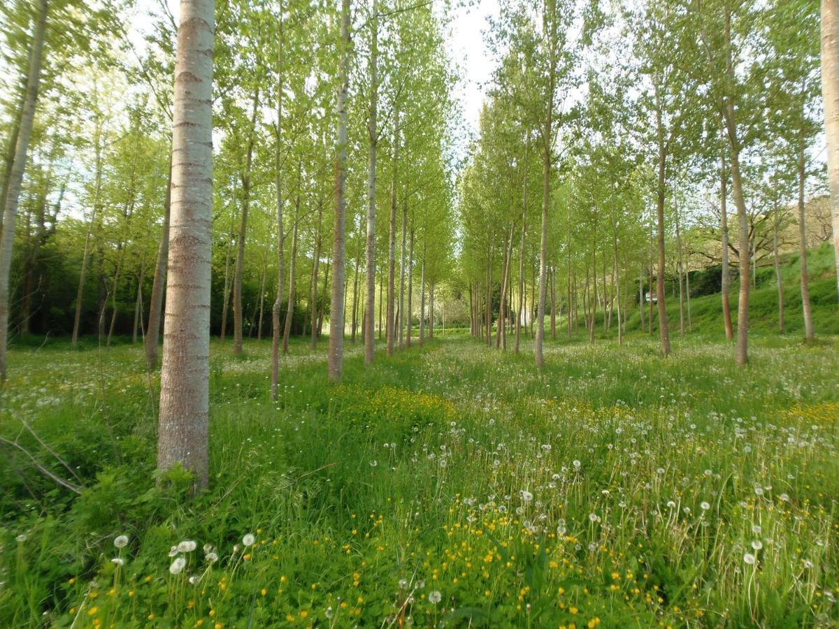 Bed and Breakfast La Chabotine Allas-Les-Mines Екстер'єр фото